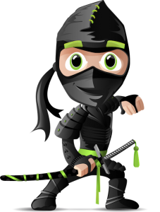seo ninja doral